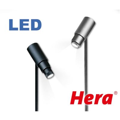 Hera LED Zoom